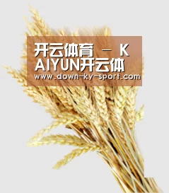 开云体育 - KAIYUN开云体育官方网站 - KAIYUN SPORTS