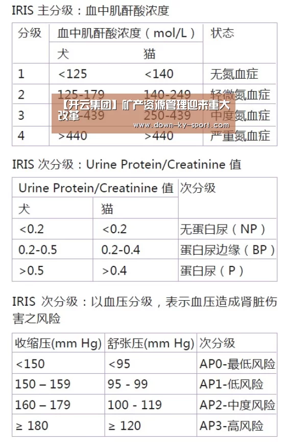 【开云集团】矿产资源管理迎来重大改革(图4) 开云