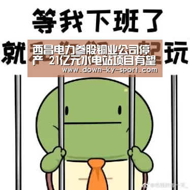 西昌电力参股铜业公司停产 21亿元水电站项目有望重启|开云(图1) 开云体育官网