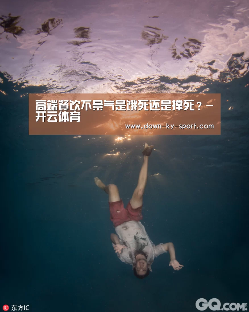 高端餐饮不景气是饿死还是撑死?-开云体育(图3) 开云集团